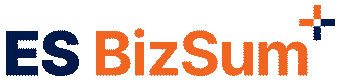 ES 비즈썸(ES BizSum)